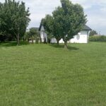 Domki-w-tle-zielen-drzewa-winnica